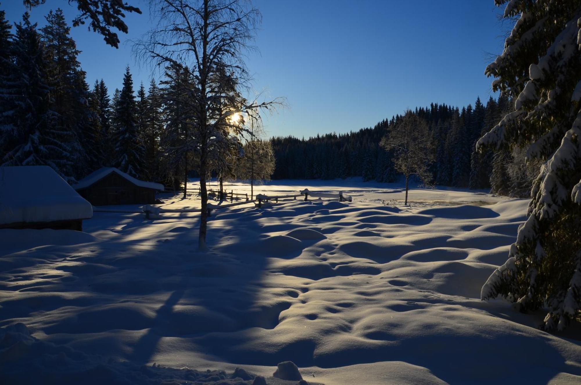 The Old Logging Camp Βίλα Yttermalung Εξωτερικό φωτογραφία